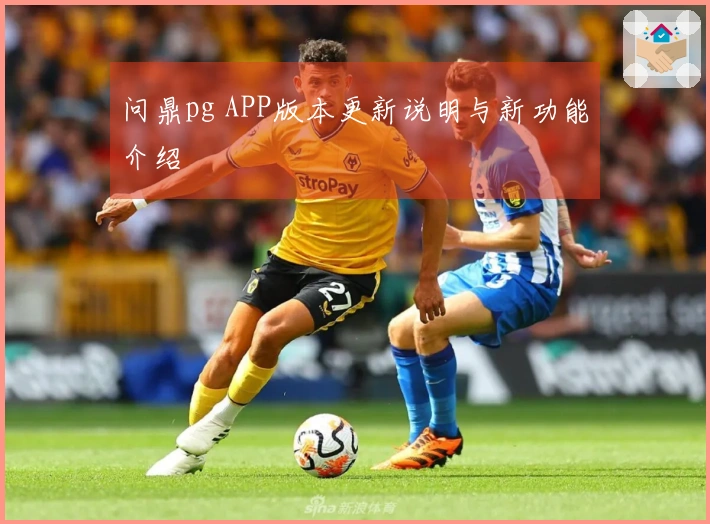 问鼎pg APP版本更新说明与新功能介绍
