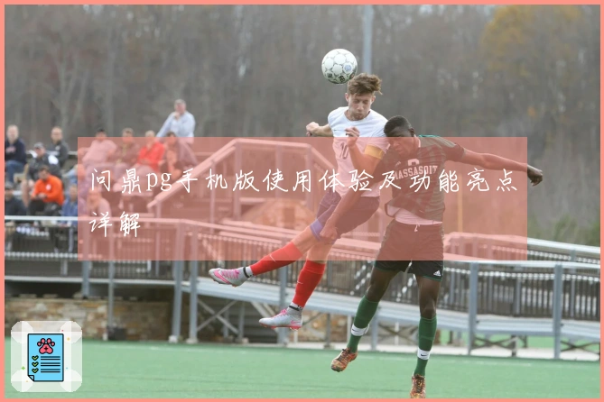 问鼎pg手机版使用体验及功能亮点详解