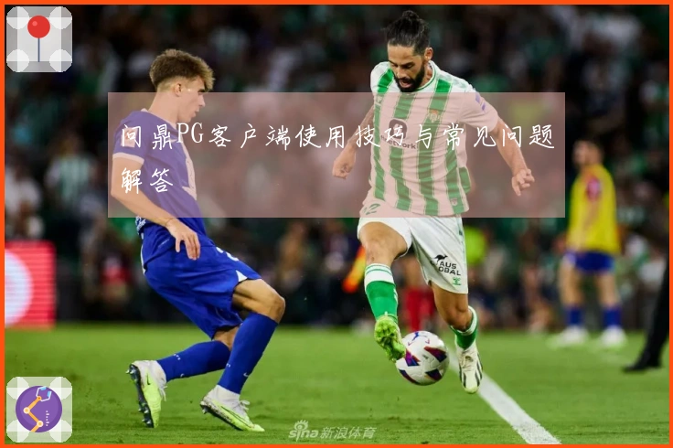 问鼎PG客户端使用技巧与常见问题解答